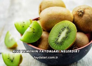 Kivi Yemenin Faydaları Nelerdir?