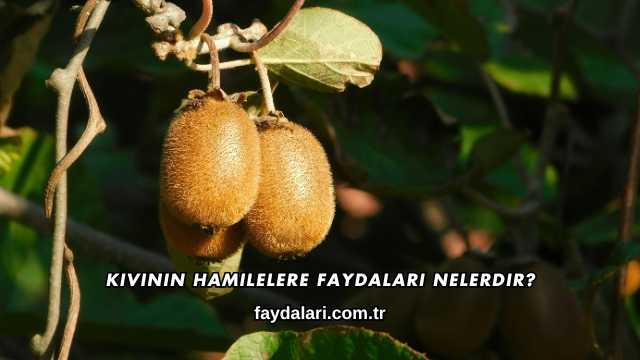 Kivinin Hamilelere Faydaları Nelerdir?
