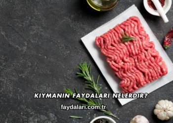 Kıymanın Faydaları Nelerdir?