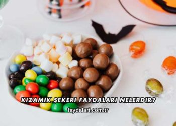 Kızamık Şekeri Faydaları Nelerdir?
