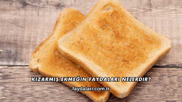 Kızarmış Ekmeğin Faydaları Nelerdir?