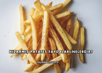 Kızarmış Patates Faydaları Nelerdir?