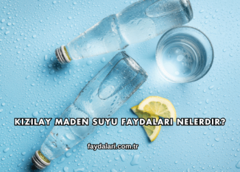 Kızılay Maden Suyu Faydaları Nelerdir?