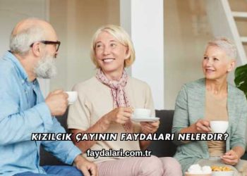 Kızılcık Çayının Faydaları Nelerdir?