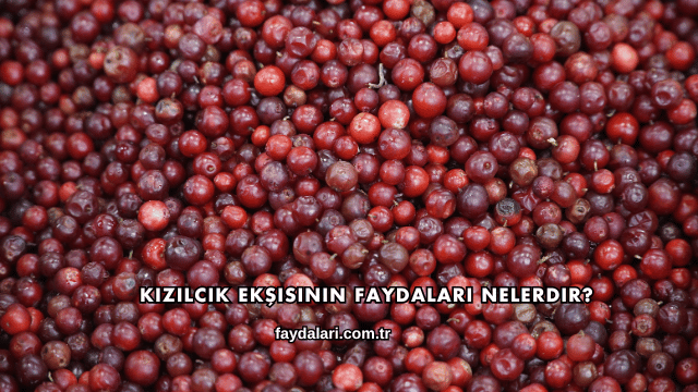 Kızılcık Ekşisinin Faydaları Nelerdir?