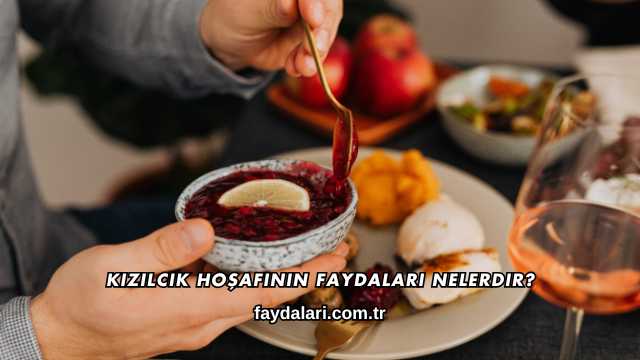 Kızılcık Hoşafının Faydaları Nelerdir?