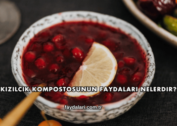 Kızılcık Kompostosunun Faydaları Nelerdir?