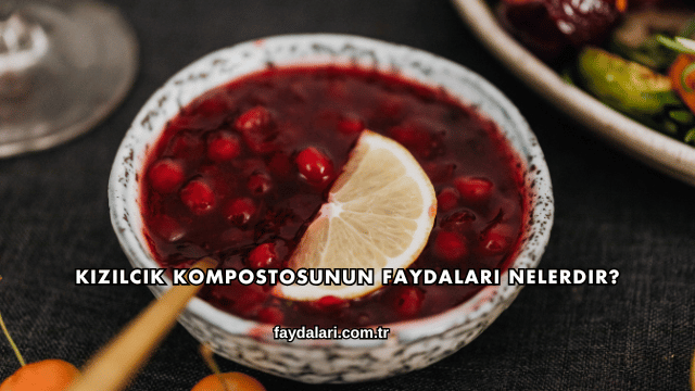 Kızılcık Kompostosunun Faydaları Nelerdir?