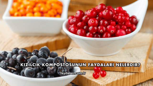 Kızılcık Kompostosunun Faydaları Nelerdir?