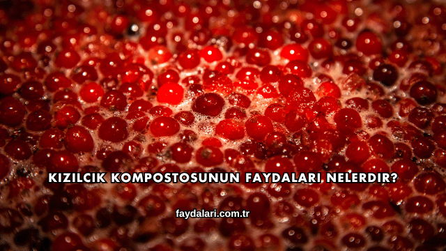 Kızılcık Kompostosunun Faydaları Nelerdir?