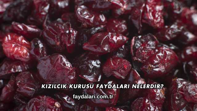 Kızılcık Kurusu Faydaları Nelerdir?