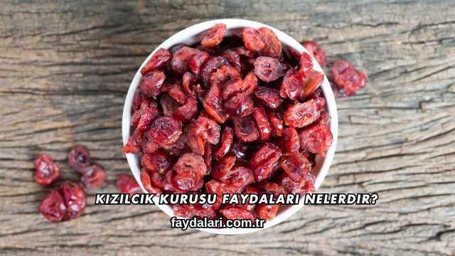 Kızılcık Kurusu Faydaları Nelerdir?