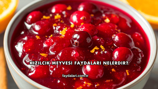 Kızılcık Meyvesi Faydaları Nelerdir?