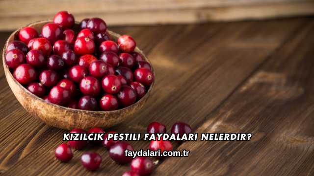 Kızılcık Pestili Faydaları Nelerdir?