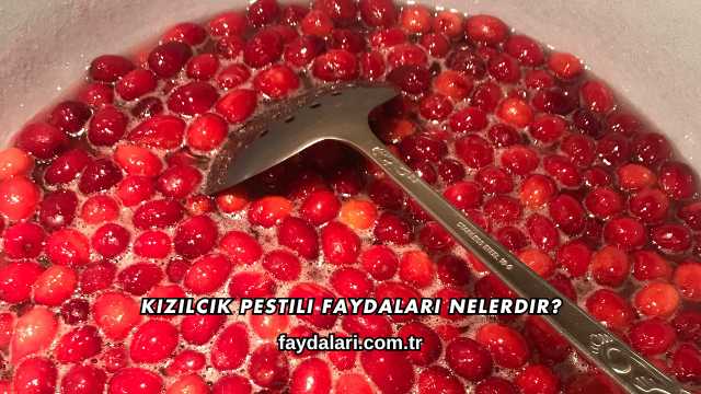 Kızılcık Pestili Faydaları Nelerdir?