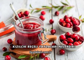Kızılcık Reçeli Faydaları Nelerdir?