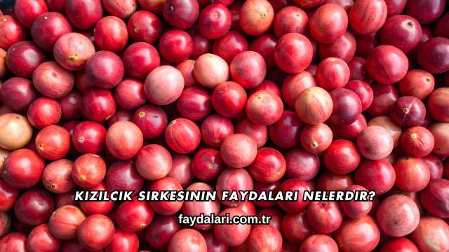 Kızılcık Sirkesinin Faydaları Nelerdir?