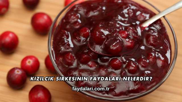 Kızılcık Sirkesinin Faydaları Nelerdir?
