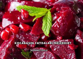 Kocabaşın Faydaları Nelerdir?