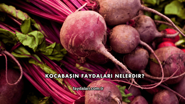 Kocabaşın Faydaları Nelerdir?