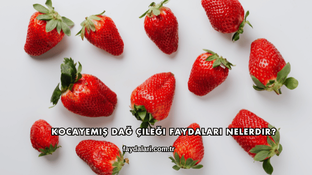 Kocayemiş Dağ Çileği Faydaları Nelerdir?