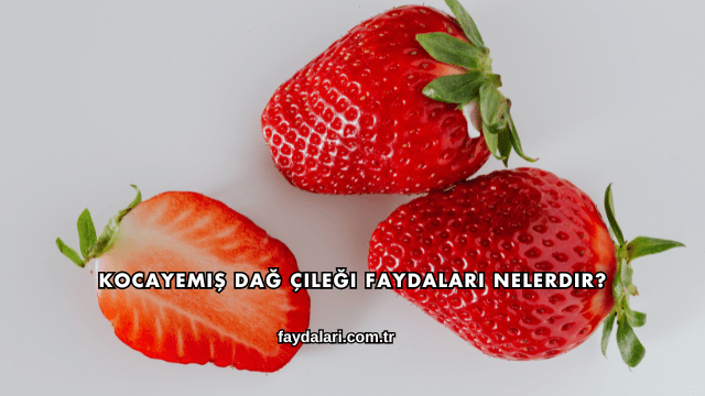 Kocayemiş Dağ Çileği Faydaları Nelerdir?