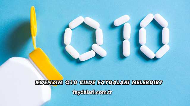 Koenzim Q10 Cilde Faydaları Nelerdir?
