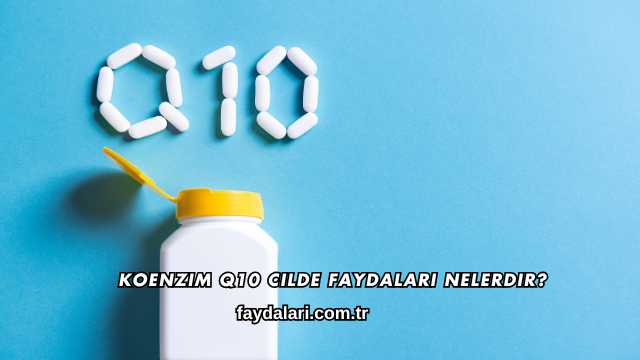 Koenzim Q10 Cilde Faydaları Nelerdir?