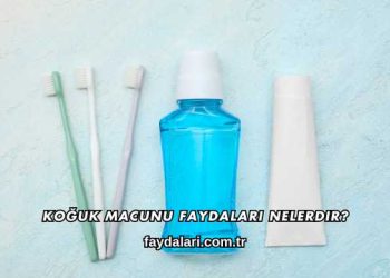 Koğuk Macunu Faydaları Nelerdir?