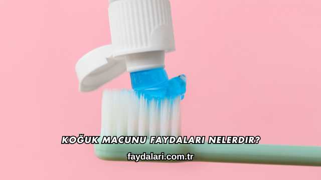 Koğuk Macunu Faydaları Nelerdir?