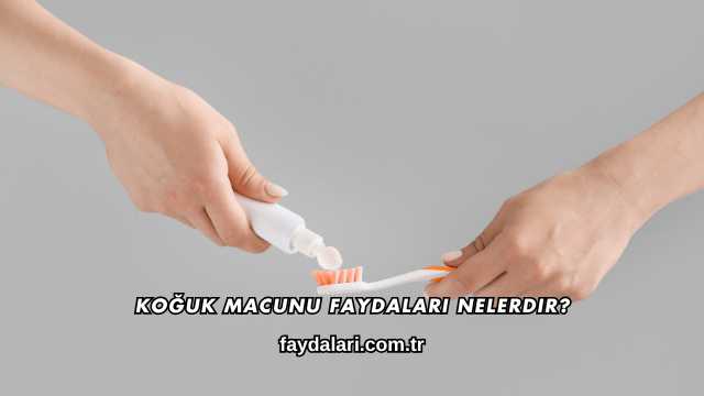 Koğuk Macunu Faydaları Nelerdir?