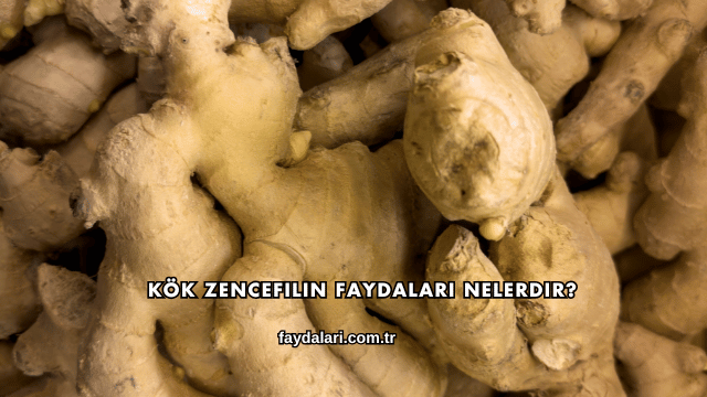 Kök Zencefilin Faydaları Nelerdir?