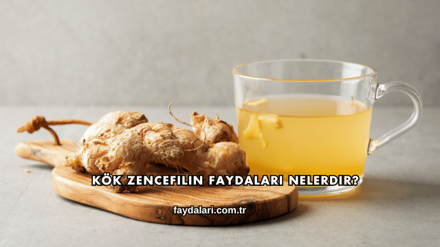 Kök Zencefilin Faydaları Nelerdir?