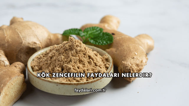 Kök Zencefilin Faydaları Nelerdir?