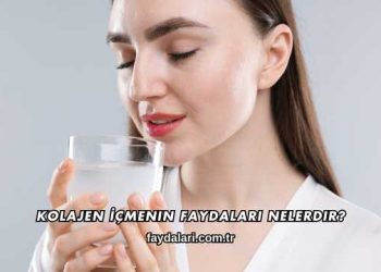 Kolajen İçmenin Faydaları Nelerdir?