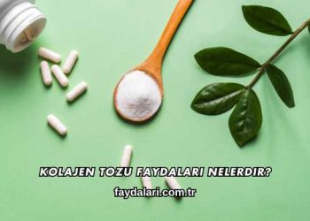 Kolajen Tozu Faydaları Nelerdir?