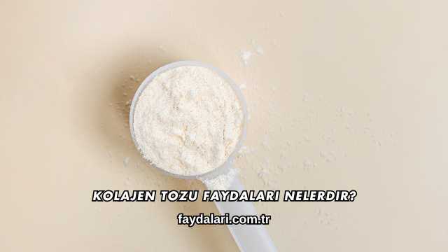 Kolajen Tozu Faydaları Nelerdir?