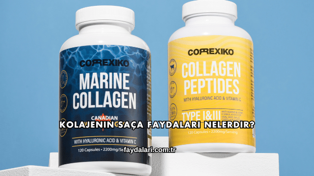 Kolajenin Saça Faydaları Nelerdir?