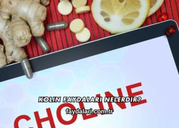 Kolin Faydaları Nelerdir