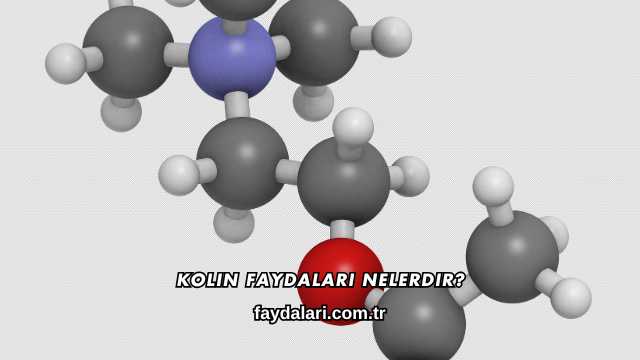 Kolin Faydaları Nelerdir