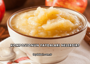 Kompostonun Faydaları Nelerdir?