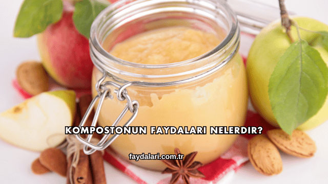 Kompostonun Faydaları Nelerdir?