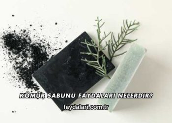 Kömür Sabunu Faydaları Nelerdir?