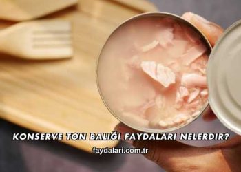 Konserve Ton Balığı Faydaları Nelerdir?