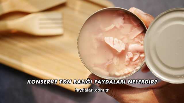 Konserve Ton Balığı Faydaları Nelerdir?