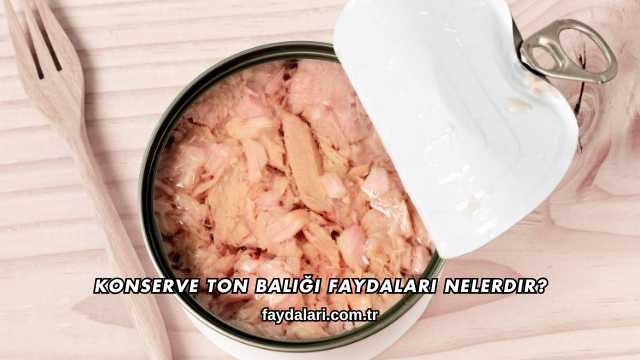 Konserve Ton Balığı Faydaları Nelerdir?