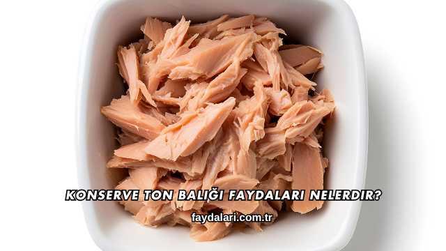 Konserve Ton Balığı Faydaları Nelerdir?