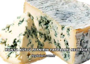 Konya Küflü Peynirin Faydaları Nelerdir?