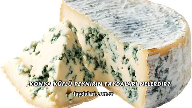 Konya Küflü Peynirin Faydaları Nelerdir?
