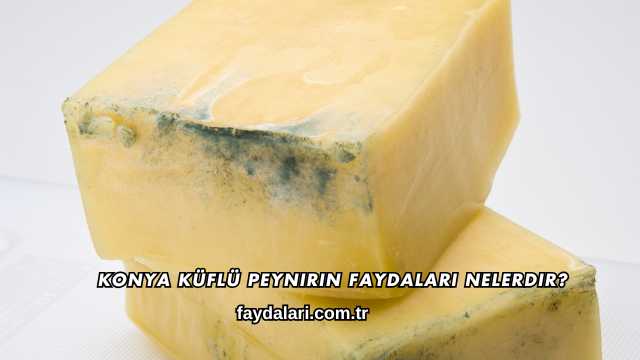 Konya Küflü Peynirin Faydaları Nelerdir?